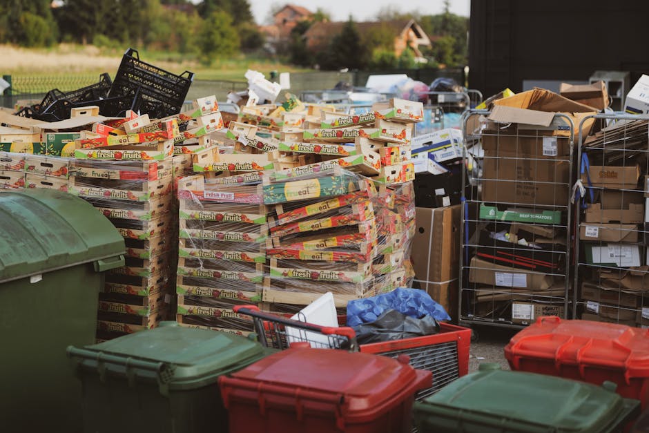 A large outdoor area filled with stacked cardboard boxes of fresh fruits, primarily in red, green, and yellow packaging, with the words 'fresh fruits' clearly visible on some. To the left, there are multiple green and red plastic wheelie bins with closed lids, positioned on a paved surface. Behind the boxes, several metal wire cages and carts are seen, containing various cardboard boxes and packaging materials, some partially open and cluttered. The background features a grassy landscape with trees and a few houses, under natural daylight, suggesting daytime outdoor rubbish collection or disposal activities. The scene reflects an environment where surplus packaging and waste are accumulated, possibly for collection, disposal, or private waste handling by waste management services like Waste Disposal Greenwich.